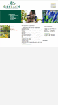 Mobile Screenshot of gaertnerei-gerlach.de